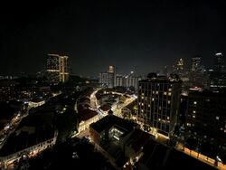 Blk 1B The Pinnacle@Duxton (Bukit Merah), HDB 4 Rooms #633838751